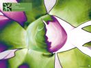 exciter_18_1280.jpg