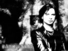 Файл=DMfan_Depeche_Mode_Dave_Gahan_14_by_Johnnyistdeyummy_wallpaper.jpg
Объём=249KB
Размеры=1024x768
Дата=Дек 26, 2010 DMfan_Depeche_Mode_Dave_Gahan_14_by_Johnnyistdeyummy_wallpaper.jpg