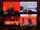 DMfan_Depeche_Mode_65_wallpaper.jpg