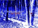 Файл=DMfan_Depeche_Mode_One_Caress_1_wallpaper.jpg
Объём=782KB
Размеры=1024x768
Дата=Дек 26, 2010 DMfan_Depeche_Mode_One_Caress_1_wallpaper.jpg