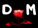 DMfan_Depeche_Mode_Tribute_no_2_Violator_by_thecriz_wallpaper.jpg