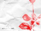 Файл=DMfan_Depeche_Mode_Violator_Rose_by_ViolatedRaindrop_wallpaper.jpg
Объём=217KB
Размеры=800x600
Дата=Дек 26, 2010 DMfan_Depeche_Mode_Violator_Rose_by_ViolatedRaindrop_wallpaper.jpg