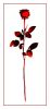 Файл=Red_rose_by_de_kay.jpg
Объём=24KB
Размеры=277x600
Дата=Дек 06, 2010 Red_rose_by_de_kay.jpg