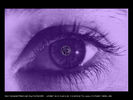 Файл=003_ne_eye.jpg
Объём=78KB
Размеры=1024x768
Дата=Янв 09, 2006 003_ne_eye.jpg