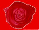 Файл=2006_dm_greeting_card_plain_1024.jpg
Объём=114KB
Размеры=1024x768
Дата=Май 31, 2007 2006_dm_greeting_card_plain_1024.jpg