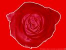 Файл=2006_dm_greeting_card_plain_1600~0.jpg
Объём=234KB
Размеры=1600x1200
Дата=Май 31, 2007 2006_dm_greeting_card_plain_1600~0.jpg